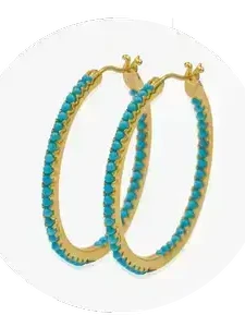 Hoop Earring Collection